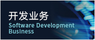 开发业务 Software Development Business